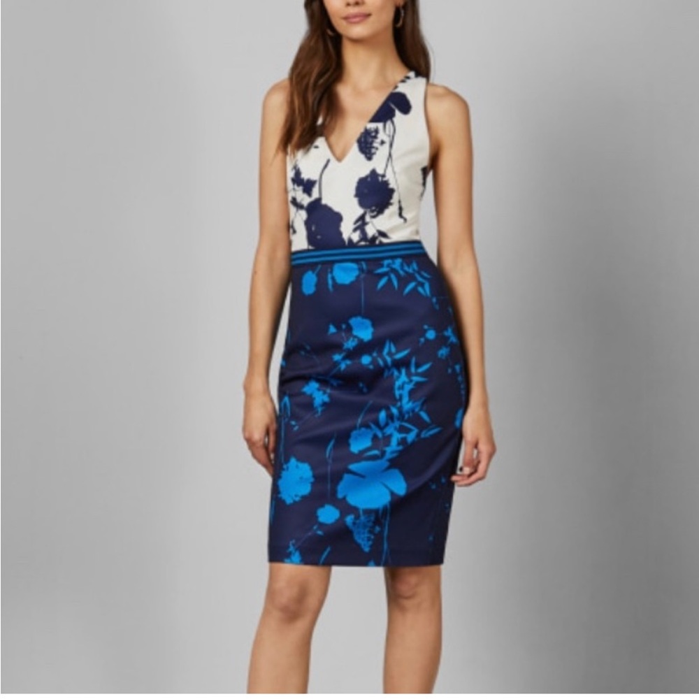 Ted Baker Sleeveless Tillai Floral Bluebell Dress. Size 4